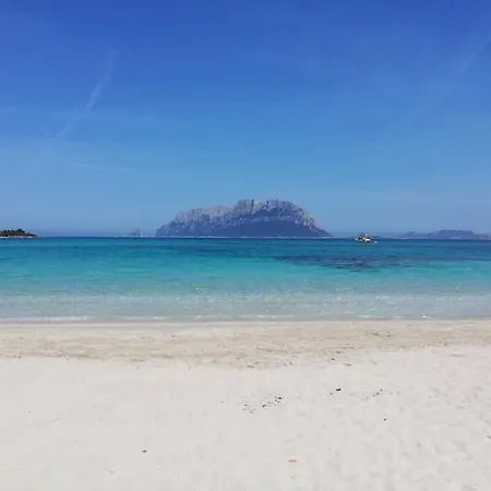 Turquosa - Апартаменты Мурта-Мария