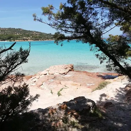 Turquosa - * Murta Maria