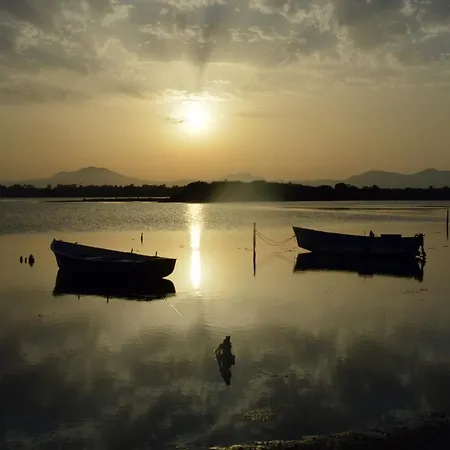 Turquosa -